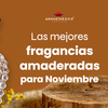 Las Mejores fragancias amaderadas para Noviembre