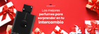 Los mejores perfumes para sorprender en tu intercambio