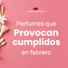 Perfumes que provocan cumplidos en febrero