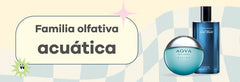 Hablemos sobre la familia olfativa acuática