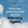 Perfumes Perfectos para Sentirte Fresco y Ligero