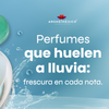 Perfumes que huelen a lluvia: frescura en cada nota