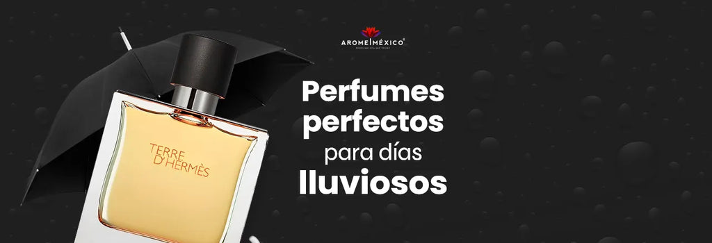 Perfumes perfectos para Climas Lluviosos