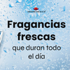 Fragancias frescas que duran todo el día