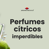 Perfumes cítricos imperdibles