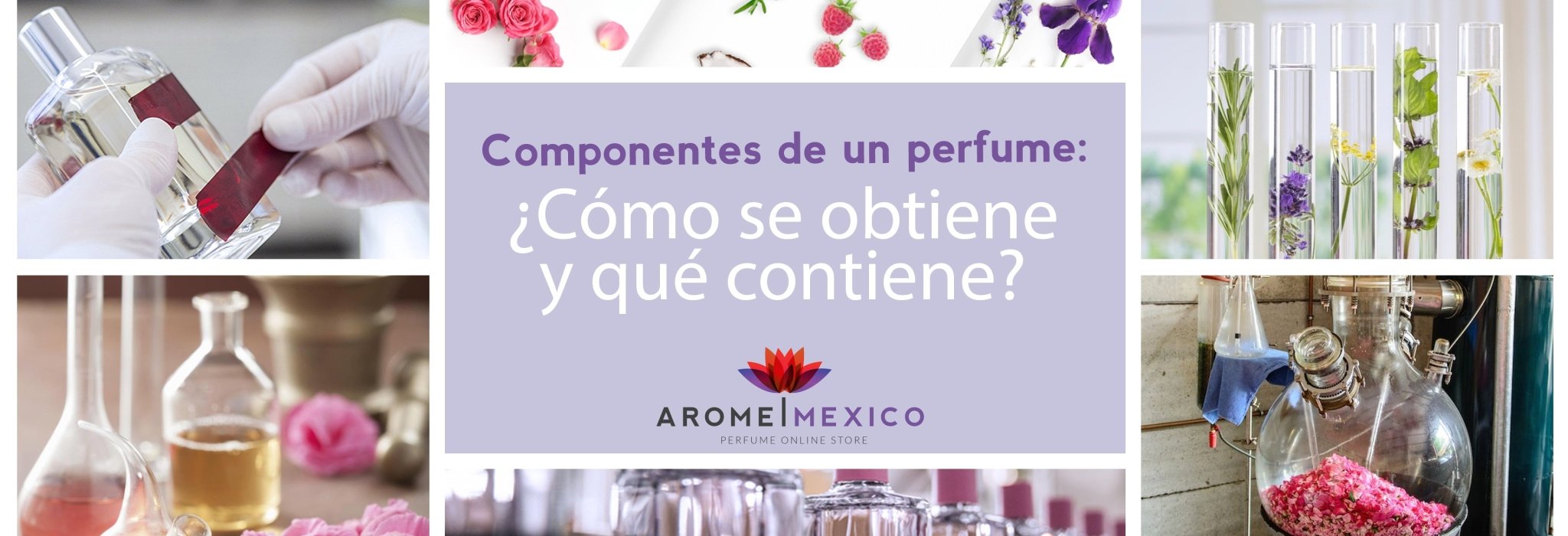 ¿Cómo se fabrica un perfume?