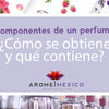 ¿Cómo se fabrica un perfume?