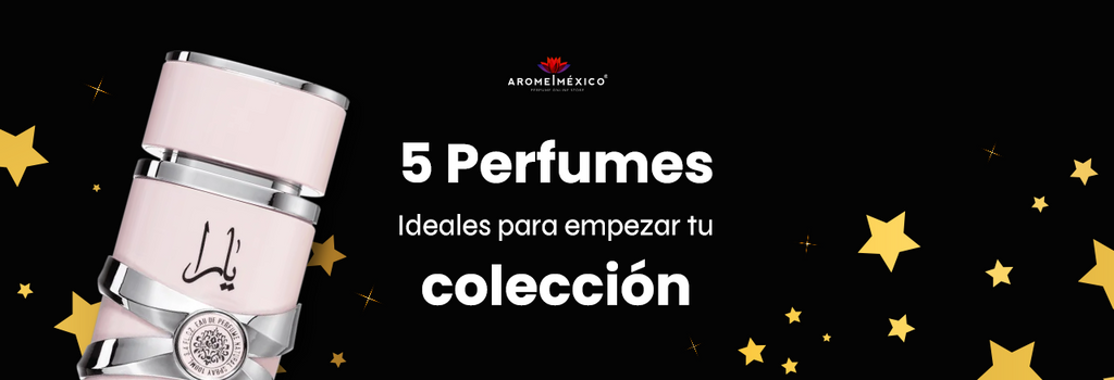 5 Perfumes Ideales para Empezar Tu Colección 