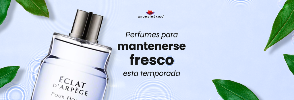 Perfumes Para Mantenerse Fresco Esta Temporada