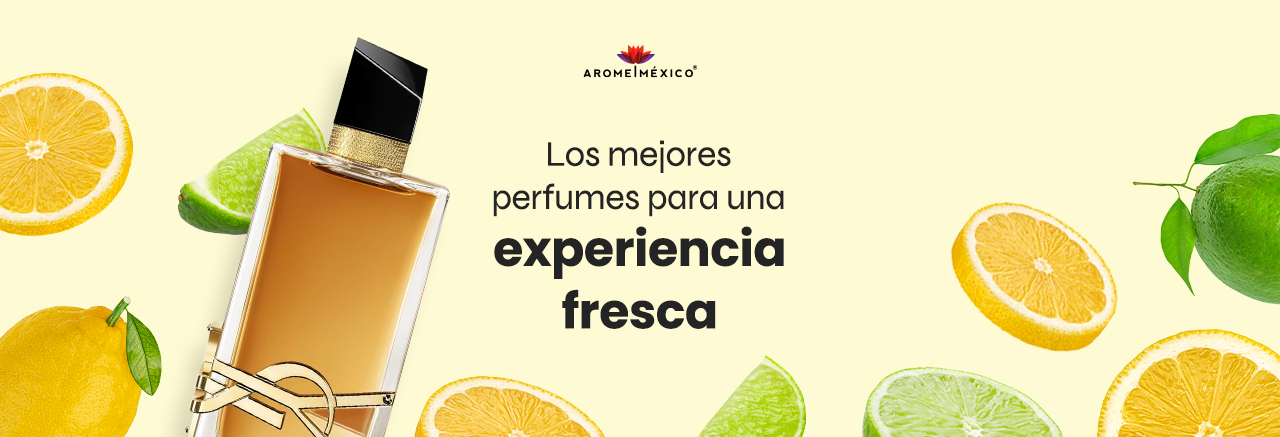 Los Mejores Perfumes para una Experiencia Fresca