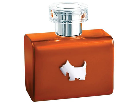Perfume Orange Terrier para Hombre de Ferrioni Eau de Toilette 100 ML - Arome México